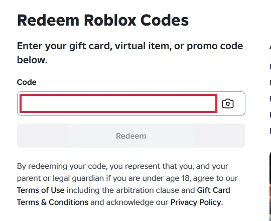 Code field highlighted on the Roblox redeem page